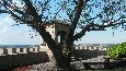 Panoramablick Schloss Mansfeld Von: Lisa-Marie Weise