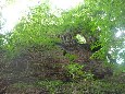 Blickfang Natur Burg Grillenberg Von: Lisa-Marie Weise