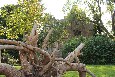 Schlossgarten Mansfeld Von: Erik Hohmann